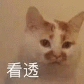 猫 看透