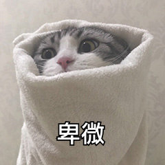 萌宠 喵星人 卑微 躲着不敢出来 呆萌 可爱