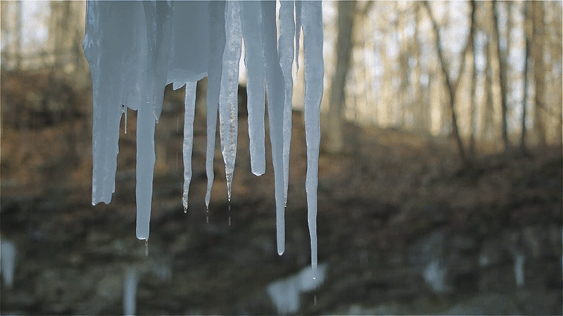 冰 自然 冰柱 冬天 融化 ice nature