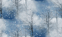 下雪 野外   安静  冷