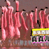 醒悟 战队 东想西想 搞笑