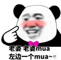 熊猫头 老婆老婆mua 斗图 搞笑