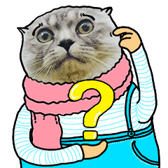 猫咪 挠头 带围巾 疑问