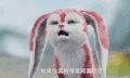 伤心 上古情歌 阿獙 难过