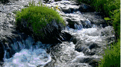 多瑙河-欧洲的亚马逊 清澈 溪流 纪录片 风景
