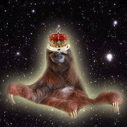 树懒 sloth  漂浮 太空