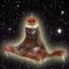树懒 sloth  漂浮 太空