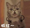 猫咪 卡通 伸舌头 抓狂