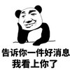 爱你 张学友熊猫头 告诉你一件好事情 我看上你了