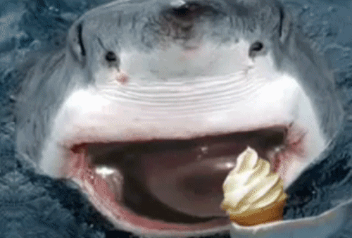 鲨鱼 张嘴 舔冰淇淋