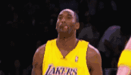 NBA 科比 篮球 运动员
