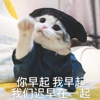 萌宠 喵星人 你早起我早起 我们迟早在一起 呆萌 可爱