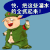 图片 帖子  灌水 围脖