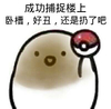 成功捕捉楼上 好丑还是 扔了吧 精灵球