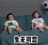 本特利 萌娃 生无可恋 可爱 搞笑 呆萌