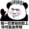 熊猫头 搞笑 雷人 斗图 我一巴掌拍你脸上你可能会死