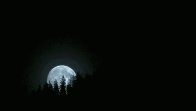 黑夜 圆月 移动
