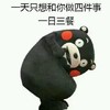 熊本熊 一日三餐 搞笑 可爱