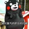 对象 抓狂 小熊 搞笑