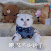 猫星人 哼 可爱 搞怪 逗