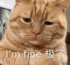 萌宠 猫星人 我很好 good 呆萌 可爱