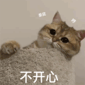 萌宠 猫星人 不开心 难受 搞怪 可爱