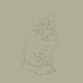 背景素材 手绘 猫咪