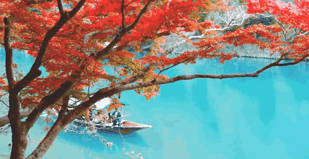 京都 日本京都市 自然风景 文化中心 世界遗产 划船