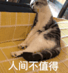 萌宠 猫星人 人间不值得 生无可恋 伤心 搞怪 逗