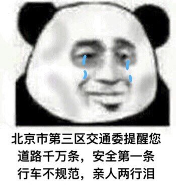 流浪地球 搞笑 文字表情包 电影 熊猫头