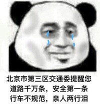流浪地球 搞笑 文字表情包 电影 熊猫头