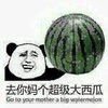金馆长 大西瓜 逗比 去你妈个超级大西瓜