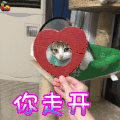 soogif soogif出品 萌宠 走开