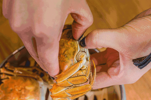 螃蟹 美食 大闸蟹 食物 诱惑 蟹黄 吃螃蟹