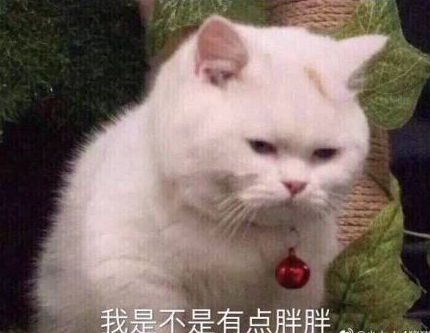 沙雕 逗 搞笑 文字表情包 蠢萌