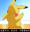 皮卡丘 可爱 萌呆 丑逼不约表过来不想看到你