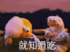 鹦鹉兄弟 长椅 棉花糖 就知道吃