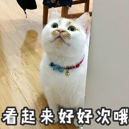 萌宠 可爱 喵星人 文字表情包 国庆节