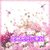 图片 好看 漂亮 蜻蜓