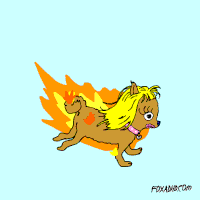 卡通 有趣的 福克斯多动症 动画控制的高清晰度 动画控制 火 头发 狐狸 注意缺陷多动障碍 狗 佩内洛普Gazin 阿曼达拜恩斯