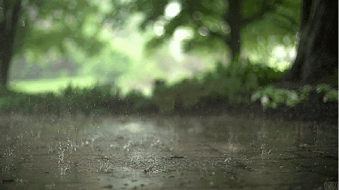 大自然 下雨 寂静 水滴