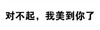 纯文字 对不起 我美到你了 得意 抱歉 道歉