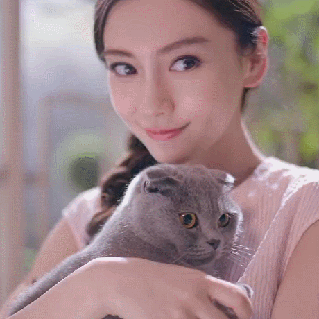 杨颖 美女 气质 猫咪