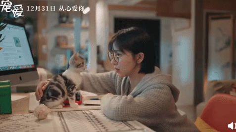 宠爱 预告片 阚清子 撸猫 动图