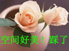 花 美 花瓶 空间