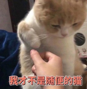 大杂烩 魔性 搞笑 逗 文字表情包