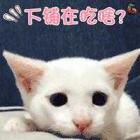下铺在吃啥