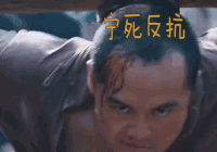 宁死反抗 白鹿原