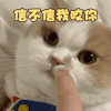 萌宠 猫星人 信不信我咬你 凶巴巴 呆萌 可爱