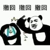 暴漫 熊猫头 撤回 生气 搞怪 逗